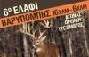 6ο Ελάφι Βαρυμπόμπης με διαδρομές 16χλμ-6χλμ στις 5/1/2020!