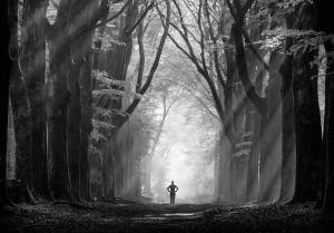 Photo copyright: Johanneke Kroesbergen-Kamps