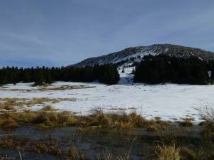 Ανοιχτή διαδικτυακή εκδήλωση - συζήτηση για τα αιολικά στην Οίτη!