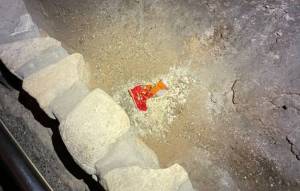 Ένα πεταμένο σακουλάκι Cheetos προκαλεί μεγάλη οικολογική καταστροφή!