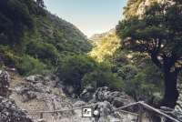 Zaros Trail Race: Προσωρινά αποτελέσματα