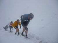 Κουράζονται στα όνειρα;