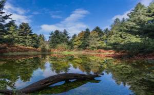 Ξεκίνησαν οι εγγραφές για τους Ορεινούς αγώνες "Λίμνη Νευρόπολη" στο Καλλίδρομο