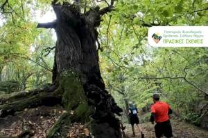 Tην Κυριακή 8 Σεπτεμβρίου o 1ος Ορεινός Αγώνας Τρεξίματος Leivadi Green Trail!