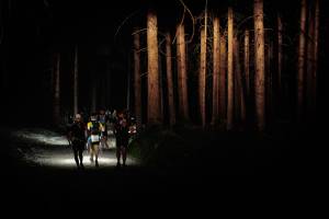 Από που πηγάζει η “σκληράδα”;