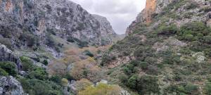 14ος Αγώνας Ορεινού Τρεξίματος 'ΣΑΜΑΡΙΑ' &amp; 4ος Αγώνας Ορεινού Τρεξίματος 'ΟΜΑΛΟΣ RUN'