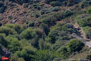 Ματαίωση του Andros Trail Race 2020 ...