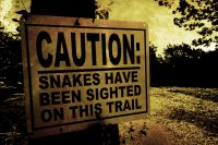 "Ο καταραμένος Όφις" !