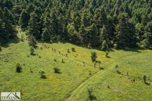 13η ΑΝΟΠΑΙΑ ΑΤΡΑΠΟΣ την Κυριακή 12 Μάϊου 2024!