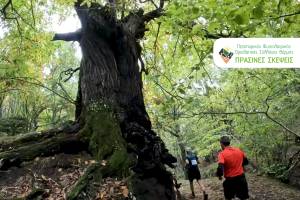 Την Κυριακή 8 Σεπτεμβρίου 2024 το 1ο Leivadi Green Trail!