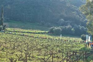 5ο KOUMARIA TRAIL SERIES 2026 - Προκήρυξη Διοργάνωσης!