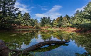 Συνεχίζονται οι εγγραφές για τον ορεινό αγώνα Λίμνης Νευρόπολης