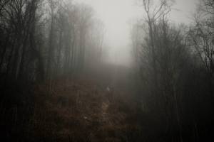 Photo copyright: Jacob Zocherman