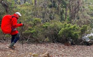 Τασμανία: Εκεί που ο Όλυμπος συναντά την Ιερουσαλήμ!