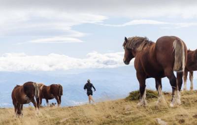 Dates and registrations for the Brama Stage Run 2024!