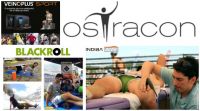 “Virtual Expo 2014”: Ostracon 