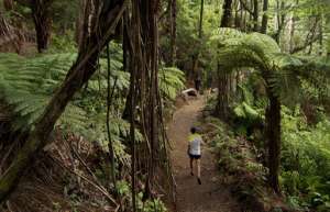 Στον Tarawera Ultra Marathon το διεθνές ενδιαφέρον