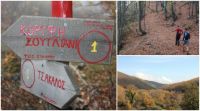 Σουγλιάνι Trail: Τρέξιμο στα πανέμορφα δάση του Στρατονικού όρους!